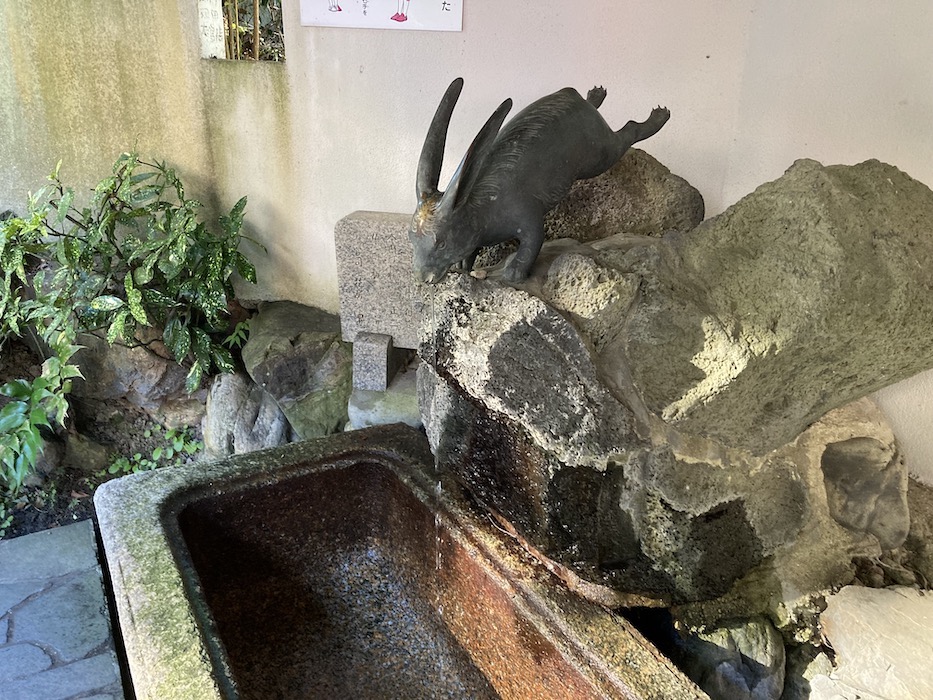 宇治神社 兎の手水舎